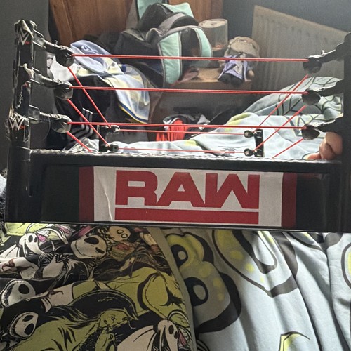 Wwe raw survivor - raw, series