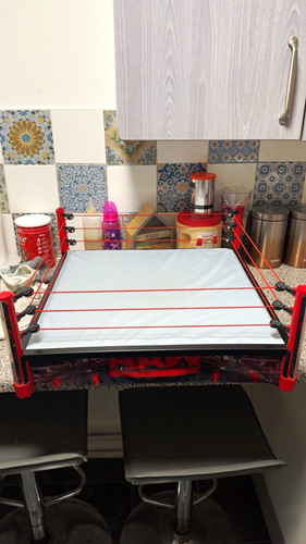Wwe raw wrestling - wrestling, ring