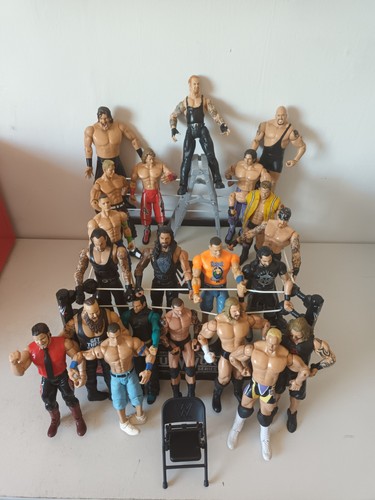 Wwe survivor series wrestling - wwe,